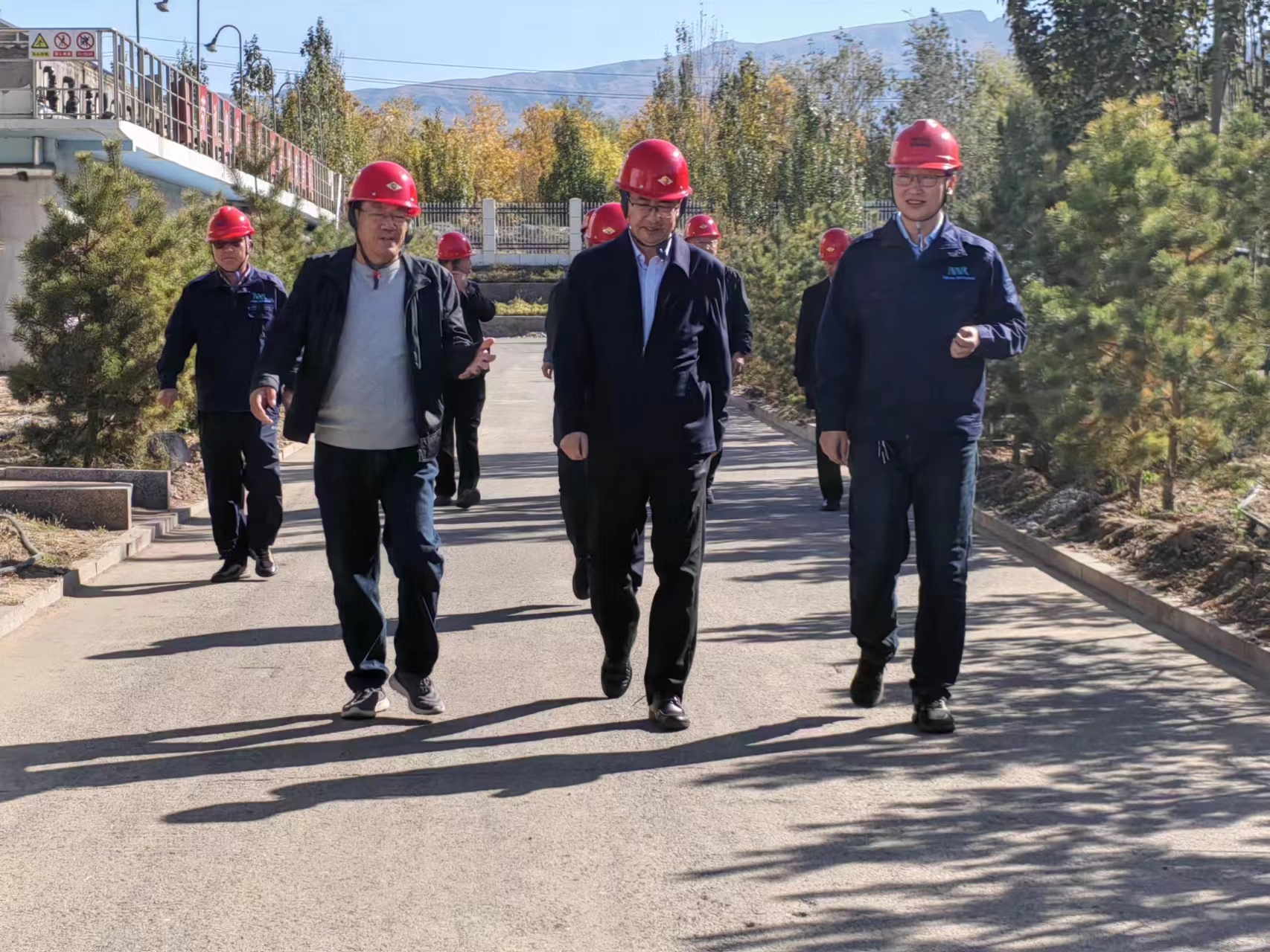 1697512150134577.jpg 1697512150134577.jpg