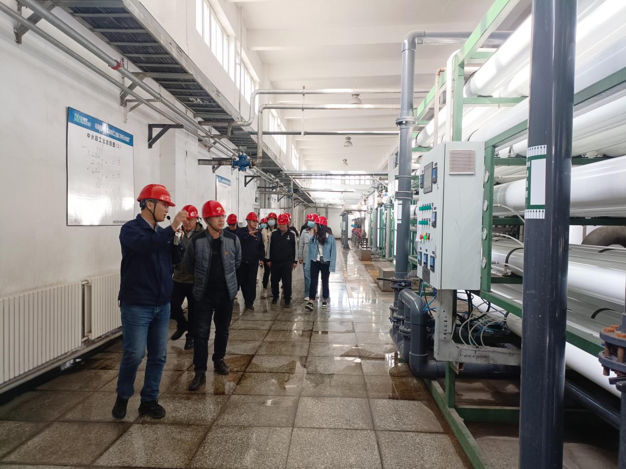 1698367336126556.jpg 1698367336126556.jpg