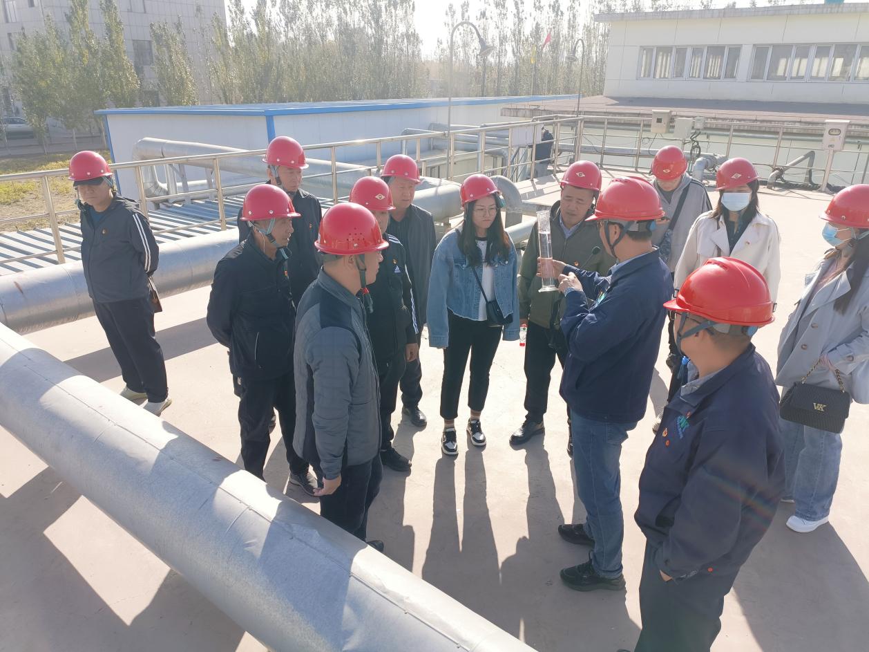 1698367412187919.jpg 1698367412187919.jpg