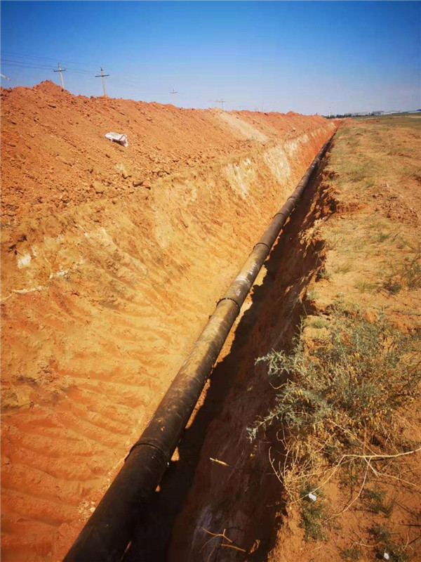 1571386806130437.jpg mmexport1562581881705.jpg