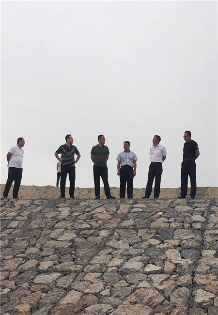 1594276199876145.jpg mtxx01.jpg