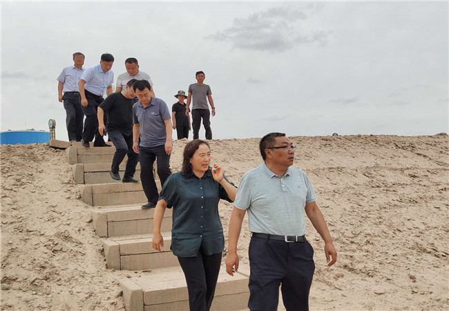 1595900096956400.jpg mtxx03.jpg