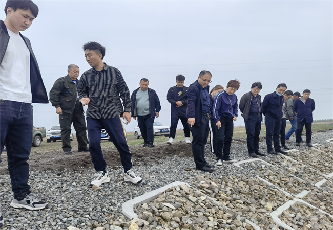 1621565219840361.jpg mtxx04.jpg